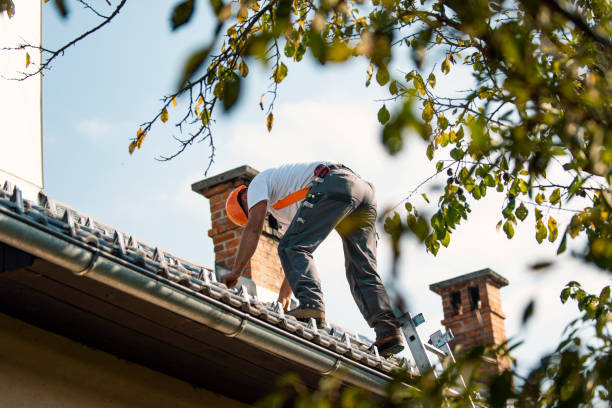 Best Roof Leak Repair  in Watkins Glen, NY